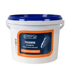 Biofarmab Thiamin